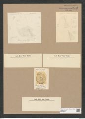 Coscinodiscus lentiginosus Jan. (de-Toni-Nr.: Genus 202, Species 4936) Zeichnungen Sammlung Grunow Nr. 8518 (NHMW-BOT-W0378142)